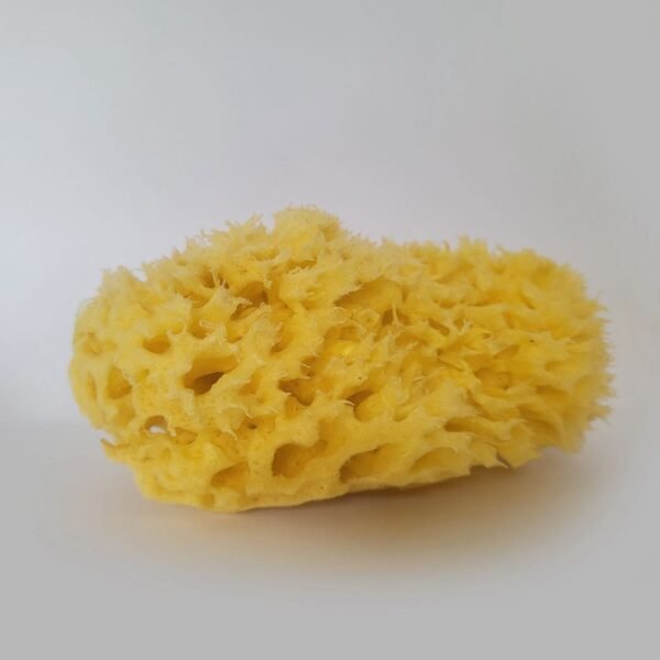 100% Natural Sea Sponges from the Greek Seas - Image 4