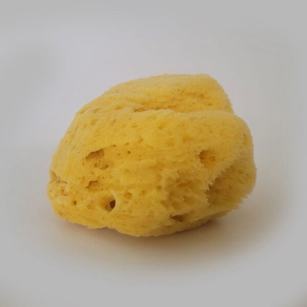 100% Natural Sea Sponges from the Greek Seas - Image 5